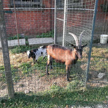 Agriturismo I Tre Camini فندق مبيت وإفطار Leinì