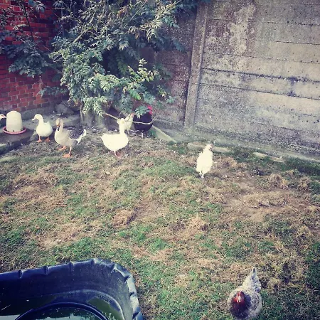 Agriturismo I Tre Camini