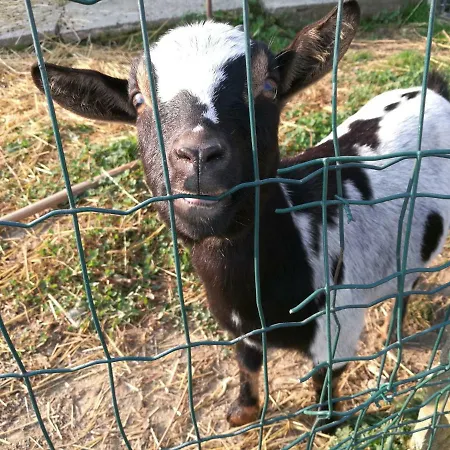 Agriturismo I Tre Camini * Leinì